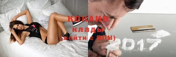 кокс Алексин