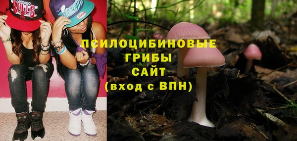 кокс Алексин