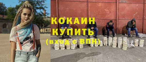 кокс Алексин