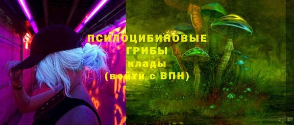 кокс Алексин