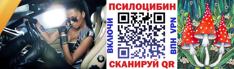 Галлюциногенные грибы Cubensis  Междуреченск 